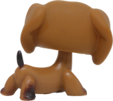 #0139/307 Dachshund